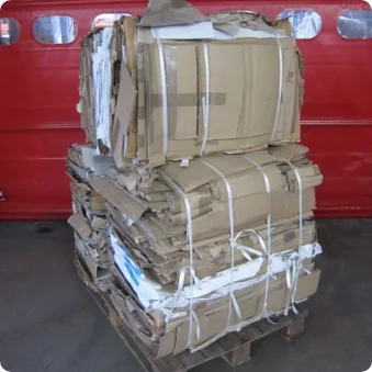 halstrap products visuels visuels